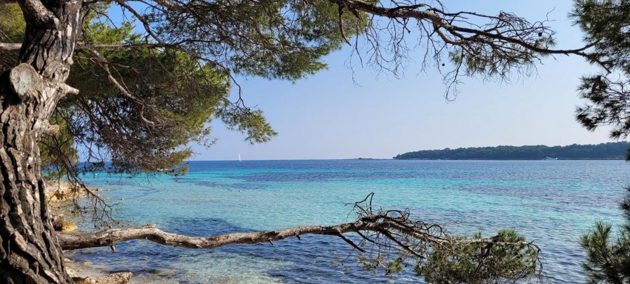 앙티브 Les Grenadines Du Samedi Au Samedi 아파트 외부 사진